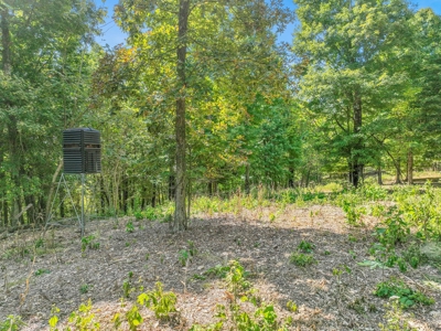 SALE PENDING Mini Farm For Sale in Petersburg Tn - image 50