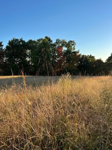 1.68 +/- Acres Located in Cumberland County, KY - image 6