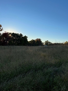 1.68 +/- Acres Located in Cumberland County, KY - image 7