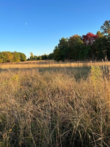 1.68 +/- Acres Located in Cumberland County, KY - image 5
