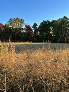 1.68 +/- Acres Located in Cumberland County, KY - image 2
