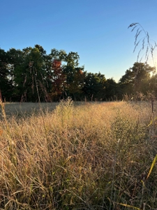 1.68 +/- Acres Located in Cumberland County, KY - image 1
