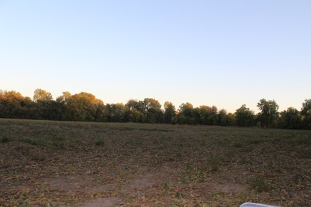 Webater Co MO Live Water Properties Osage Fork, Bowen Creek - image 20