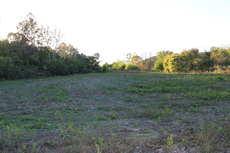 Webater Co MO Live Water Properties Osage Fork, Bowen Creek - image 3