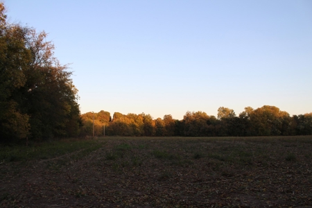 Webater Co MO Live Water Properties Osage Fork, Bowen Creek - image 19