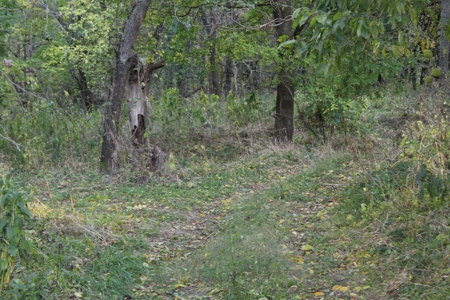 Webater Co MO Live Water Properties Osage Fork, Bowen Creek - image 36