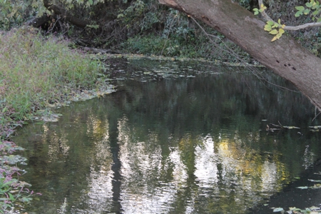 Webater Co MO Live Water Properties Osage Fork, Bowen Creek - image 10