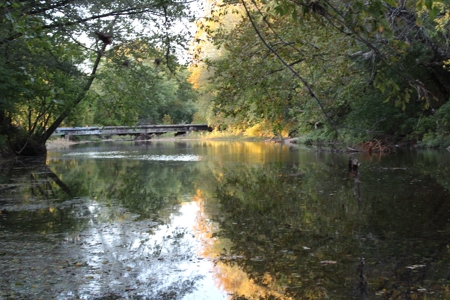 Webater Co MO Live Water Properties Osage Fork, Bowen Creek - image 17