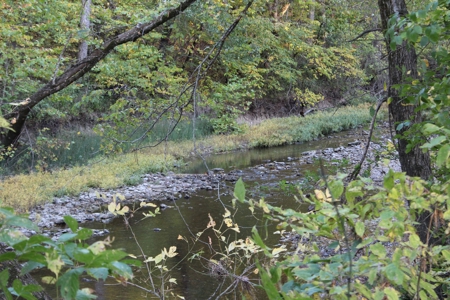 Webater Co MO Live Water Properties Osage Fork, Bowen Creek - image 35