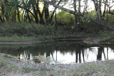Webater Co MO Live Water Properties Osage Fork, Bowen Creek - image 33