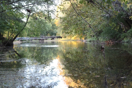 Webater Co MO Live Water Properties Osage Fork, Bowen Creek - image 16