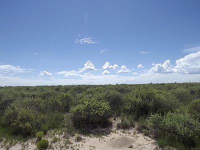 4.78 acres south of Moriarty, New Mexico, Off Highway 41! - image 2