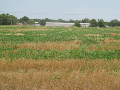 120+/- Acres Of Tillable Land And A Southern Style Home - image 13