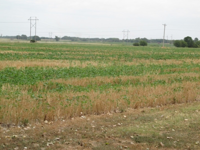 120+/- Acres Of Tillable Land And A Southern Style Home - image 14