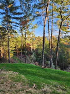 Home and land for sale NC Mountains/Land for Sale Near Boone - image 7
