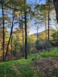 Home and land for sale NC Mountains/Land for Sale Near Boone - image 3