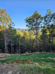 Home and land for sale NC Mountains/Land for Sale Near Boone - image 2