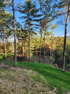 Home and land for sale NC Mountains/Land for Sale Near Boone - image 4