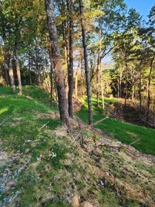 Home and land for sale NC Mountains/Land for Sale Near Boone - image 5