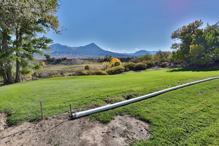 Ranch-Style Home With Acreage For Sale in Hotchkiss, CO! - image 6