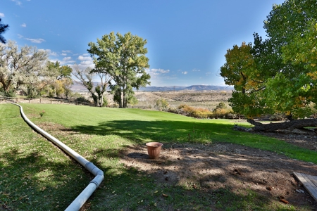 Ranch-Style Home With Acreage For Sale in Hotchkiss, CO! - image 10