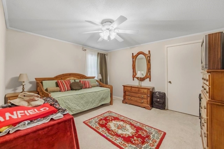 58 Acres + Country Home for Sale Hattiesburg, MS - image 19
