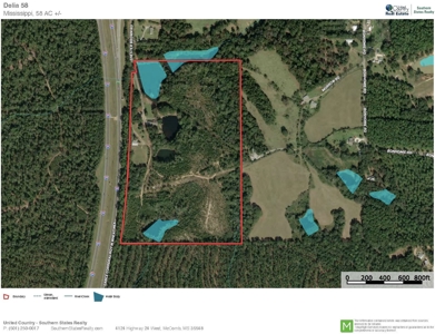 58 Acres + Country Home for Sale Hattiesburg, MS - image 41