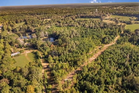 58 Acres + Country Home for Sale Hattiesburg, MS - image 33