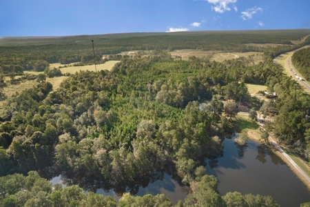 58 Acres + Country Home for Sale Hattiesburg, MS - image 28