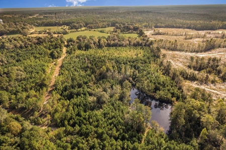 58 Acres + Country Home for Sale Hattiesburg, MS - image 34
