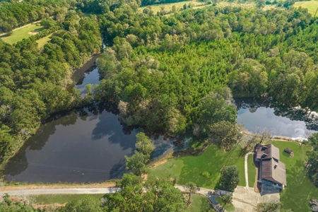 58 Acres + Country Home for Sale Hattiesburg, MS - image 26