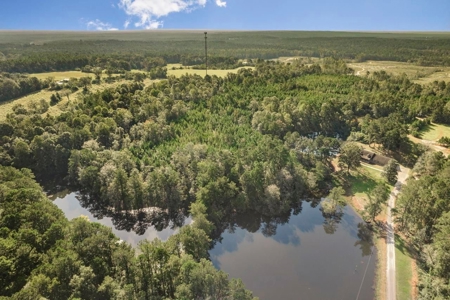 58 Acres + Country Home for Sale Hattiesburg, MS - image 27