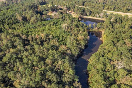58 Acres + Country Home for Sale Hattiesburg, MS - image 29