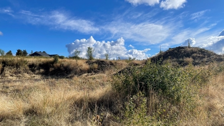 Stunning Land Lot for Sale in Grangeville, Idaho - image 12