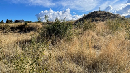 Stunning Land Lot for Sale in Grangeville, Idaho - image 17