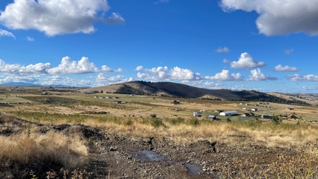 Stunning Land Lot for Sale in Grangeville, Idaho - image 2