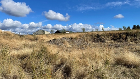 Stunning Land Lot for Sale in Grangeville, Idaho - image 13