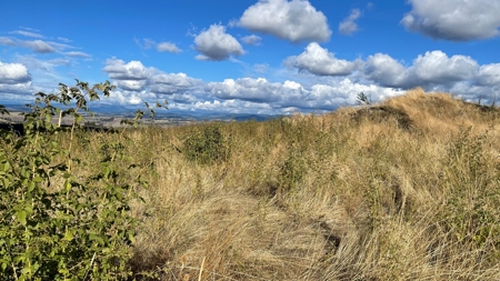 Stunning Land Lot for Sale in Grangeville, Idaho - image 18