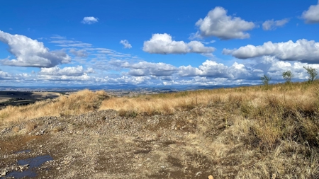 Stunning Land Lot for Sale in Grangeville, Idaho - image 7