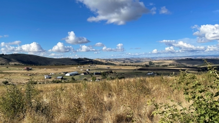 Stunning Land Lot for Sale in Grangeville, Idaho - image 15