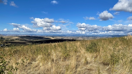 Stunning Land Lot for Sale in Grangeville, Idaho - image 14