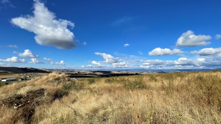 Stunning Land Lot for Sale in Grangeville, Idaho - image 10