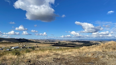 Stunning Land Lot for Sale in Grangeville, Idaho - image 8