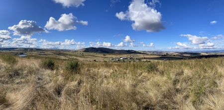 Stunning Land Lot for Sale in Grangeville, Idaho - image 11