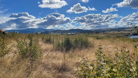 Stunning Land Lot for Sale in Grangeville, Idaho - image 16