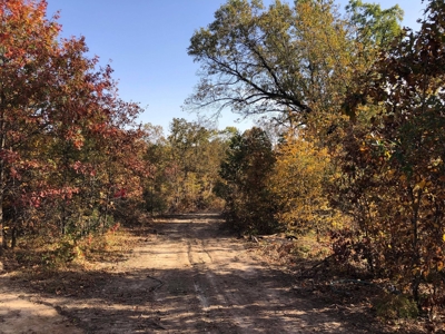 70 Acres in Putnam County, Missouri. - image 5