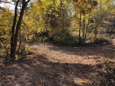 70 Acres in Putnam County, Missouri. - image 10