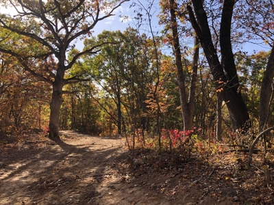 70 Acres in Putnam County, Missouri. - image 11