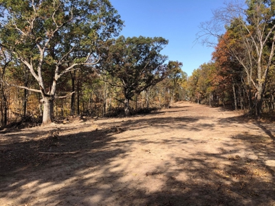 70 Acres in Putnam County, Missouri. - image 14