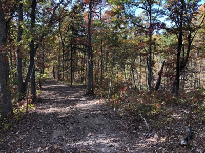 70 Acres in Putnam County, Missouri. - image 13